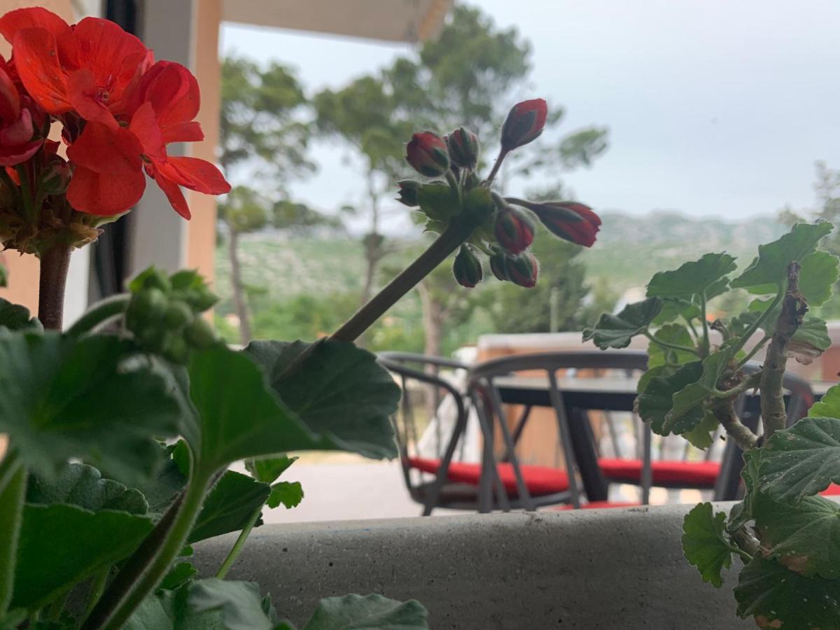 Apartmani Spomenka 셀리네 외부 사진